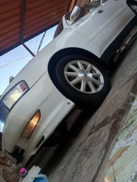 كرسته نفخ • ١٩٩٤ • رقم بصره