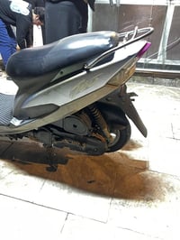 ماكس منغولي • مجال بسيط • للبيع