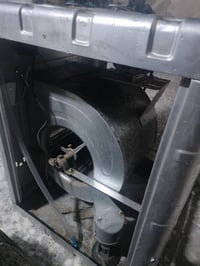 مبرده • جديده • استعمال يوم واحد