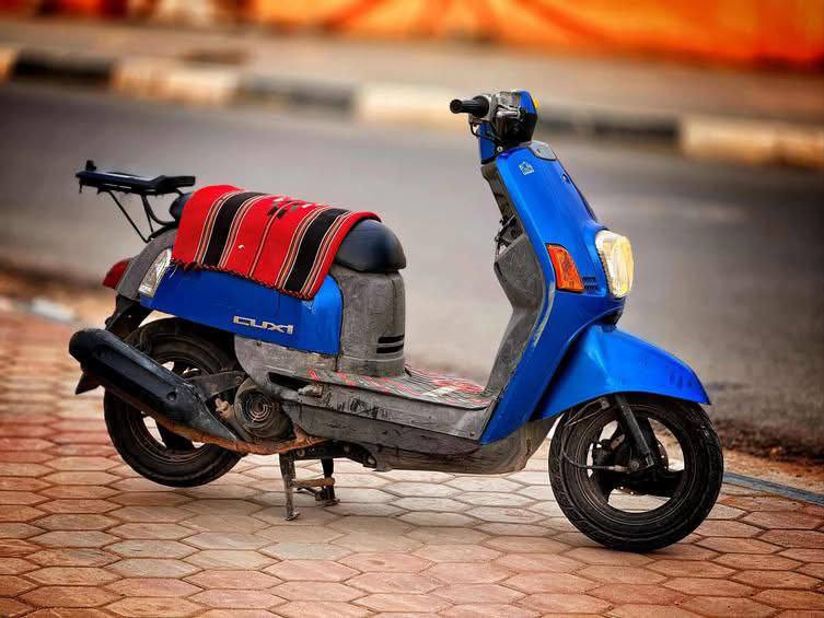 سلام عليكم دراجه ماكس بوليسي كفاله عامه دراجه شلعه ومعدل وكهرباءيات الدراجه نضيفه مكاني كربلاء العطيشي  مستعجل عليهه السعر 850وبيه مجال مال جناي وهذا رقمي *********** وهم متواجد عل الفيس
