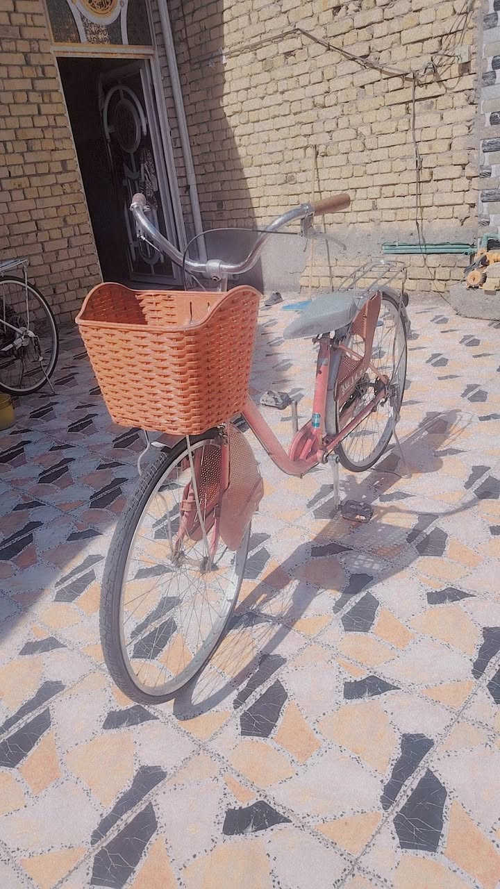 2/بايسكلات /البرتقالي 30/الابيض35 عوزهن بس تايرات


**إذا كنت صاحب هذا الإعلان وتريد حذفه لأي سبب، رجاءا أرسل رسالة إلى الدعم الفني**