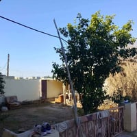 طابو صرف • ٣٠٠م • غرفتين نوم