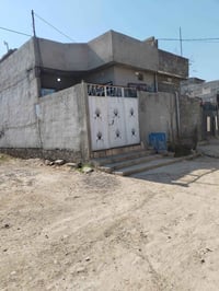 القوسيات • جمعية ركن النخلة • ٢٤٠م