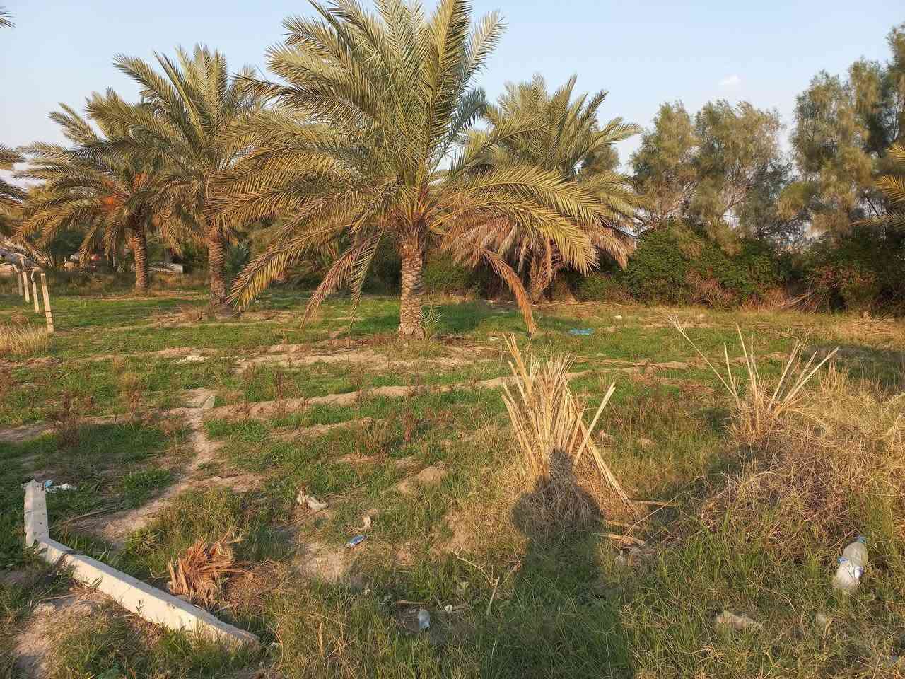 السلام عليكم قطعه ارض نص دونم للبيع الاستفسار على هذا الرقم ***********
