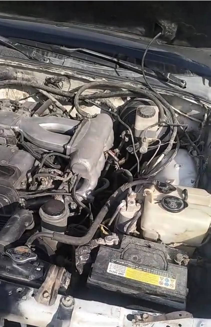 للبيع مكفولة من الصبغ والضربه والكص والنقل والكلبه تبريد تخم تاير جديد رقم انكليزي بأسمي سنويه نهاية 31 تحويل مباشر المكان بصره قضاء المدينه السعر ٦٥ شراي اتصل لاتراسل ولا تعلق ماارد ولاتكول شبيه مابيه كاتبلك كلشي مكفول ***********
