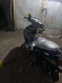 سكنس فحل • نضيفه • مكفوله