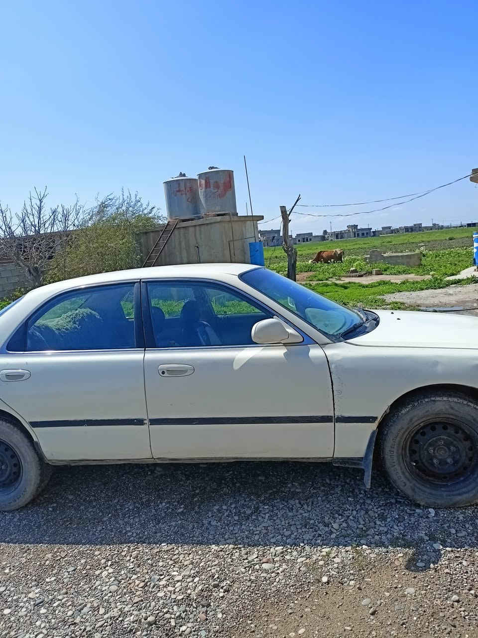 سيارة مازدافاصوليانفخ گيراوتوماتيك وارد امريكي موديل 95 للبيع بيها الگيرعاطل تريدگيرسنوية 29كوبون بانزين بيها رقم أنگليزي تحويل شوكت متريدمحرك شرط مكاني كركوك قضاء الحويجة ***********السعر35بيهامجال قليل
