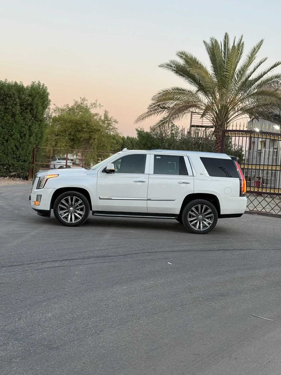 السعر 268 🌹
بيع او مراوس 

كديلاك سكالد 2020 اصل
فوول اعلى فئه 

رقم أربيل انكليزي 
تحويل او وكاله حاضر 

السياره كير مكينه حداديه. صيانه كامله. من الدعاميه لدعاميه. 
. 
ماشيه 100 الف Km حقيقي مو (mi)

لد امامي. مميز.  لايت 6 عدسات زنون 
كشن مساج. 
جميع الكشنات. كهرباء  
4 شاشات 
بانوراما
داتاشو 
كشن رجاج
5 بصمات
تشغيل بعد 
جنطه ذكيه 
مكينه 8 سلندر  6200 
مري شفط 
شاحن. 
وباقي الموصفات المعروفه لسيارة 
لا تعد ولا تحصى

محرك وكير وحداده وتبريد مكفولات
تخم تاير جديد 
بيه ويل مال 2024 حجم 22 جديد اصلي

اخوان السياره بيه صبغ  قطع 

شواصي ولغود وتكم كفااله
بجم كبس ع وضع الشركه

جاهزة وبدون نقص وبلعافيه ع الياخذها 🌹

السعر 268 🌹
بيع او مراوس 
***********
مكاني النجف / الكوفه
