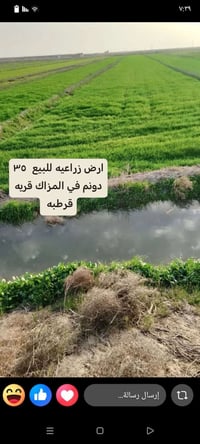 قريه قرطبه • ٣٥م • ارض