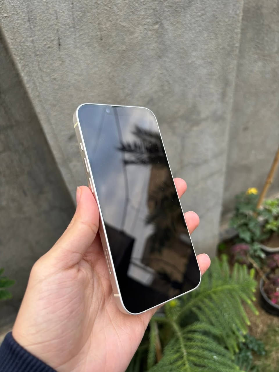 ايفون 14 عادي ذاكرة 128بطارية 85 ماستر شرق اوسط نموذج M الأصلي مامفتوح ولامبدل بي شي وتربروف عالفحص نظافة 100‎%‎ شخط واحد مابي
السعر 500 قفل


**إذا كنت صاحب هذا الإعلان وتريد حذفه لأي سبب، رجاءا أرسل رسالة إلى الدعم الفني**