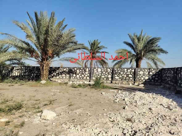 تم اكتمال سياج الأخ أبو مصطفى في جبله أن شاء الله ينال اعجابكم 
للتواصل على الخاص او على الرقم 
***********
*********** بيه واتساب 
عمل كل ما يخص الحجر بأسعار تنافسية مناسبة
