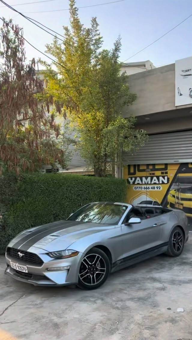 سلام عليكم

للبيع | Ford Mustang EcoBoost Premium 2022 🇺🇸

✨ قمة النظافة - إصدار البريميوم الأعلى مواصفات - وارد أمريكا

🔹 المواصفات الفنية والأداء:

• المحرك: 2300cc EcoBoost Turbo (قوة حصانية ممتازة مع توفير عالي للوقود).

• الجير: 10 سرعات أوتوماتيك.

• أنظمة القيادة: تعدد وضعيات القيادة (سبورت، تراك، ونورمال) لتناسب كل الأجواء.

• الممشى: 60000 ميل (استخدام نظيف خارج العراق).

🔹 الرفاهية والتكنولوجيا:

• المقصورة: كراسي جلد أحمر (كهرباء) مع تدفئة وتبريد.

• الترفيه: شاشة SYNC 3 الكبيرة، تدعم Apple CarPlay و Android Auto مع نظام صوتي محيطي.

• الجمالية: سقف أسود، إضاءة LED كاملة، رنكات 18 إنج أصلية، وجناح خلفي رياضي.

• المميزات الذكية: تشغيل عن بعد، دخول ذكي، إنارة ترحيبية بشعار الموستنج.

🔹 الحالة الميكانيكية والبدن:

• السيارة بحالة الوكالة من الناحية الميكانيكية والكهربائية (افحص وين ما تريد).

• البودي: صبغ باب سكن و شبر جارملغ خلفي بجم كبس بدون دواخل و شاصي.

• الحادث: حادث بسيط جداً في أمريكا (باب الراكب فقط) وبقية السيارة سليمة تماماً.

🔹 ملاحظة للمشتري:

السيارة تمثل التوازن المثالي بين الشكل الرياضي الجذاب والاقتصاد في المصاريف، جاهزة للقيادة ولا تحتاج "دينار واحد" مصروف

مكان السيارة في كركوك

سعر السياره 158

متوفر واتساب ***********
