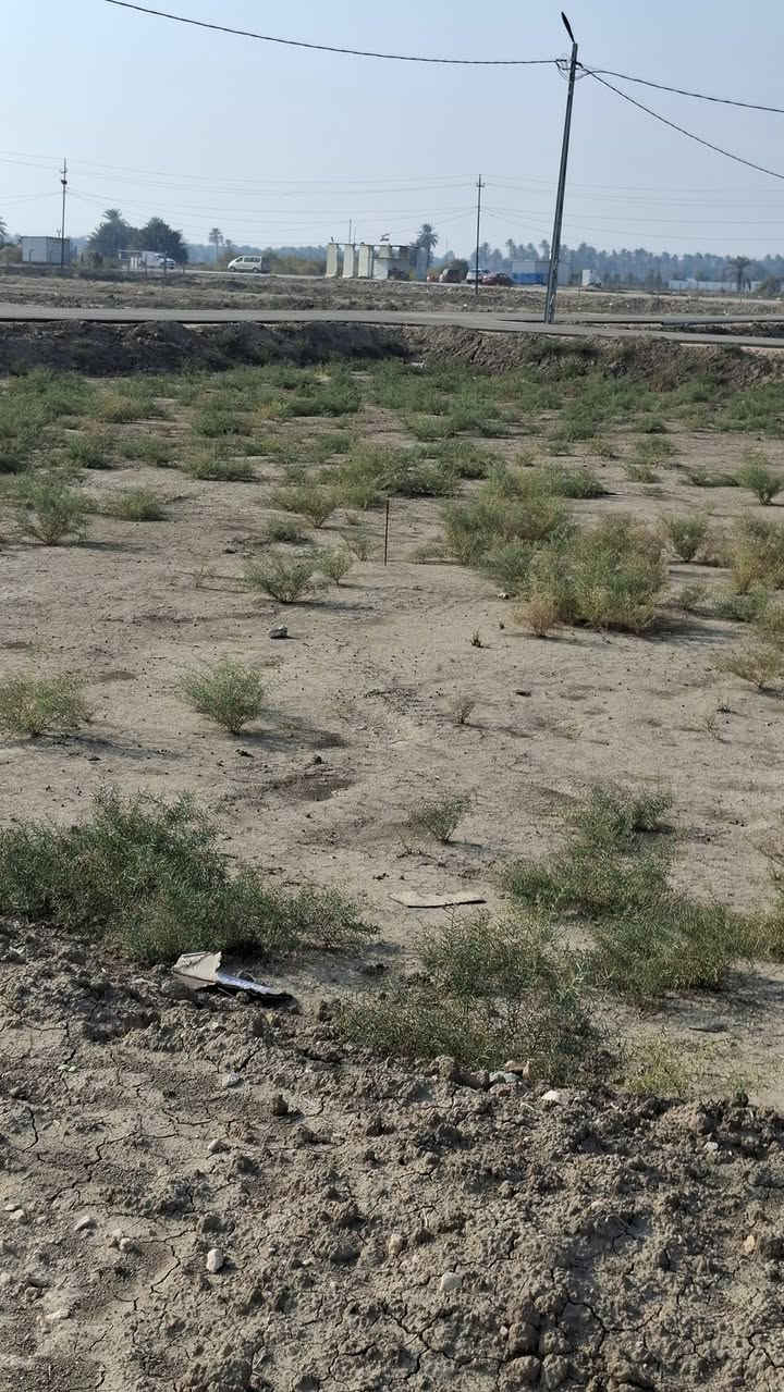 السلام عليكم
للبيع قطعة طابو زراعي سند ٢٥ 
خلف مزار العلويه شريفه ع 
بجانب السيطره الخلفيه للمزار
متوفر كافة الخدمات 
تبليط ماء كهرباء 
للاستفسار ***********
