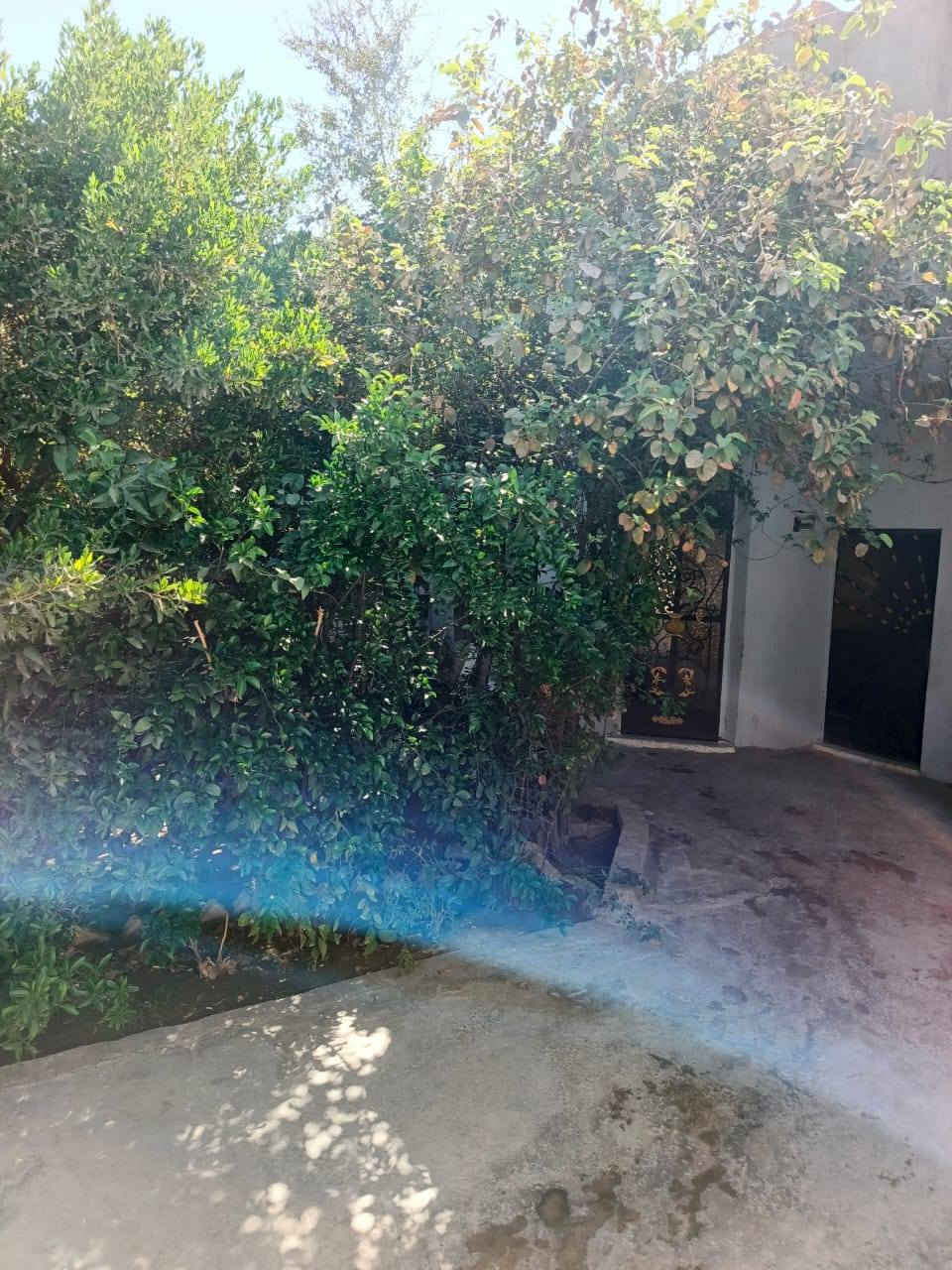 بيت بلدية للبيع مساحة 200م
واجهة 10م نزال 20م
في حي النصر قرب جامع مكة قريب من مجمع المدارس يتكون من غرفة +هول+مطبخ +استقبال +حديقة+صحيات داخل و خارج
السعر 67 بي مجال بسيط مستعجل على البيع رقمي ***********
