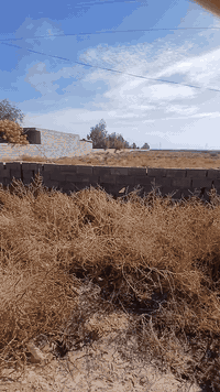 السلام عليكم اخواني ٤ دوانم ع شارعين مي كهرباء متوفرة بيها واجه ٤٢ مسيجة بلوك ومحددة عنوانها الاوسمة والانواط قريبة ع شارع الرئيسي للاسفسار  *********** علي السوداني#
