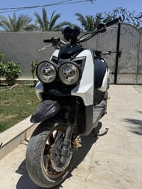 سكنس جبلي