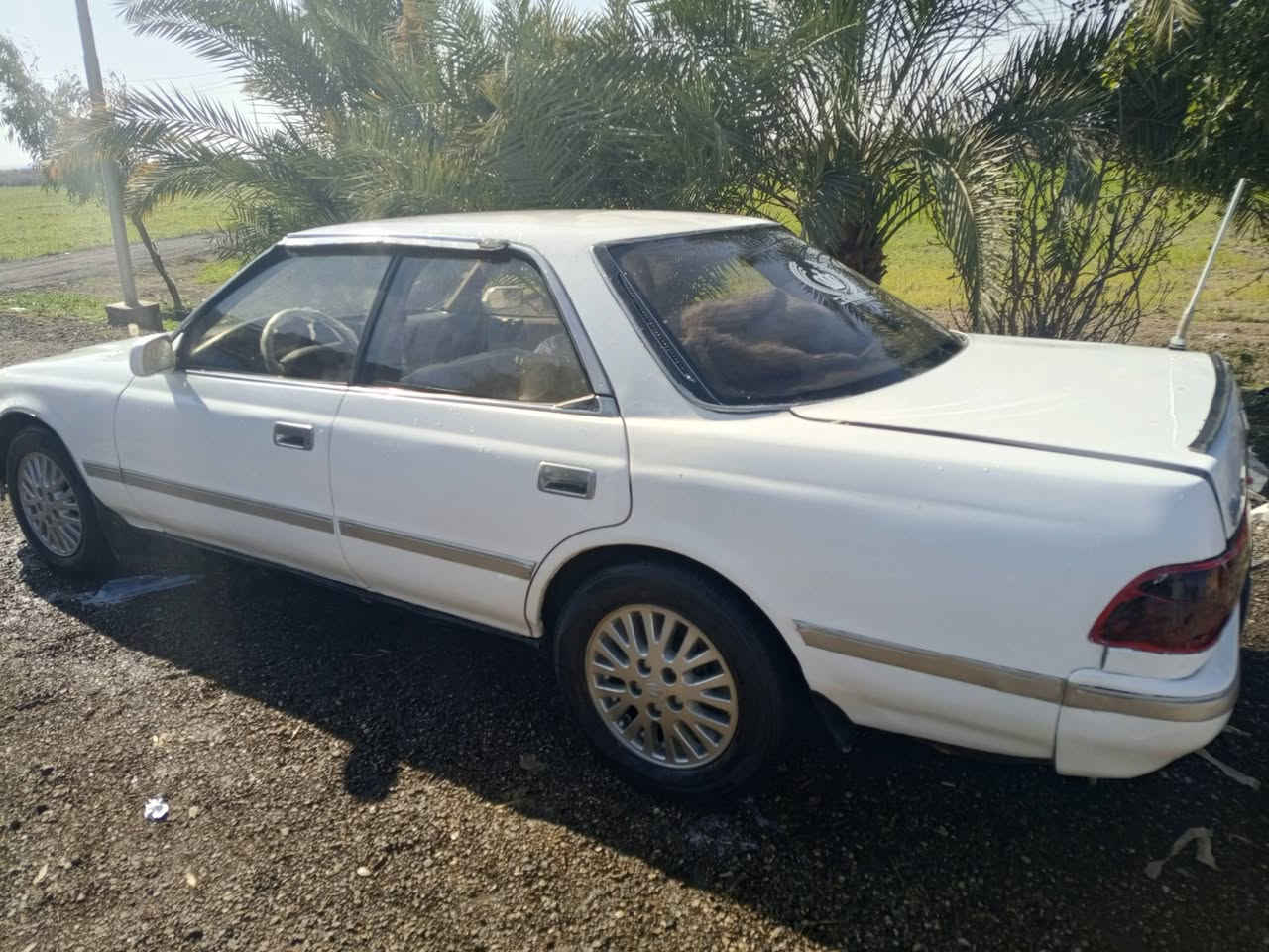 مارك عضم السعر ٤٠ وبيه مجال مراوس ترهم
مكينه كير جدد  مكاني نجف 

رقم نكليزي مداور بيومك 

مكفوله من الكص ونقل وضربه لقويه 

سياره جاهزه وجديده 

اتصل وبيك خير ودلل ***********
