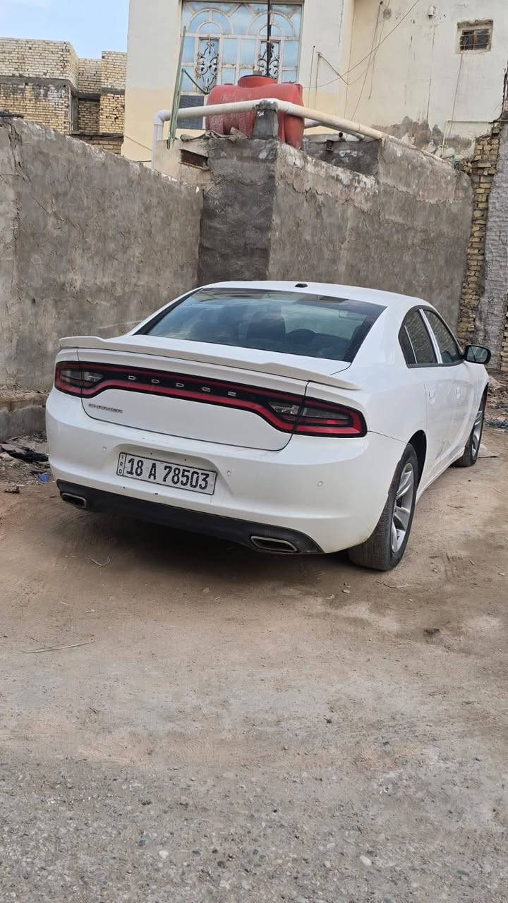 سلام عليكم جالجر موديل ١٥ كلين كفالة مال بيت رقم بابل الاستفسار رقم ***********//***********   سعر ١٧٥ وبيهة مجال
