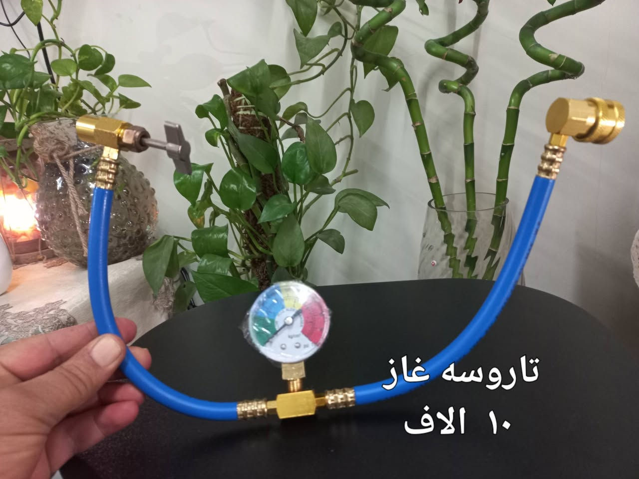 من رخصة الادمن 
بضاعه امزون جديده التوصيل داخل بسمايه مجانا


**إذا كنت صاحب هذا الإعلان وتريد حذفه لأي سبب، رجاءا أرسل رسالة إلى الدعم الفني**