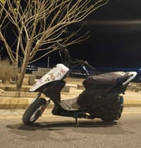 ماكس عدلة • بوشه ٥٥