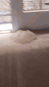 شعله دوانم • ٨٥م • مشتملات