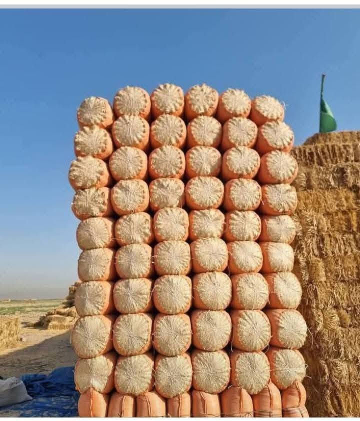 تبن مطحون واصل جميع محافظات العراق جمي أحجام الجيس موجود كل حجم اله سعر ترس فول وتبن نضيف شرط للاتصال واتساب أو اتصل ***********
