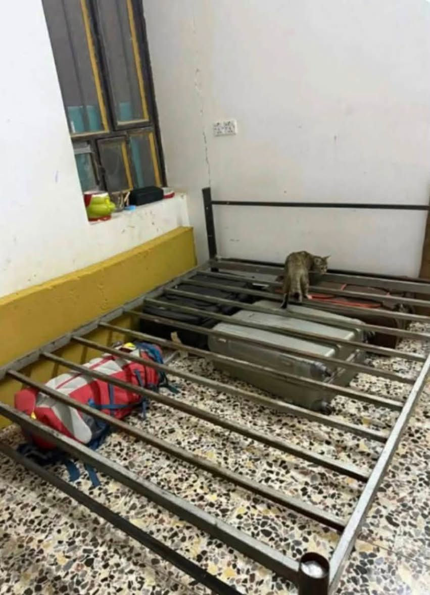 للتواصل خاص


**إذا كنت صاحب هذا الإعلان وتريد حذفه لأي سبب، رجاءا أرسل رسالة إلى الدعم الفني**