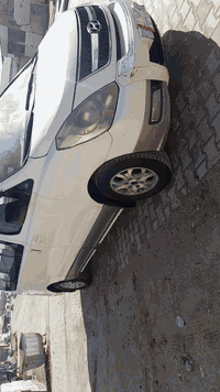 ستاركس • ٢٠١٤ • مشخاب