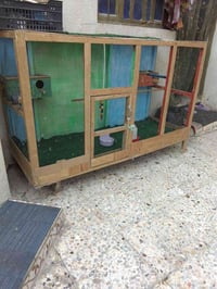 قفص • مترين • نظيف