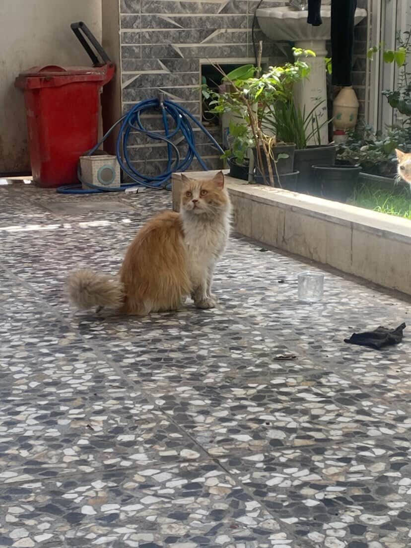 منو يريدها


**إذا كنت صاحب هذا الإعلان وتريد حذفه لأي سبب، رجاءا أرسل رسالة إلى الدعم الفني**