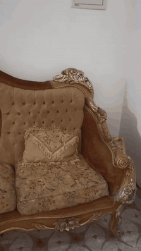 تخم للبيع زان مصري اصلي مكاني بغداد عرب جبور 07707060050رقم هاتف