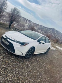 كورلا • ٢٠٢٠ • اربيل