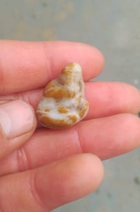 زوعه حيه قديمه  مال ملاكط الله شاهد لكيته في مكان قديم أثريي عل شكل أم...