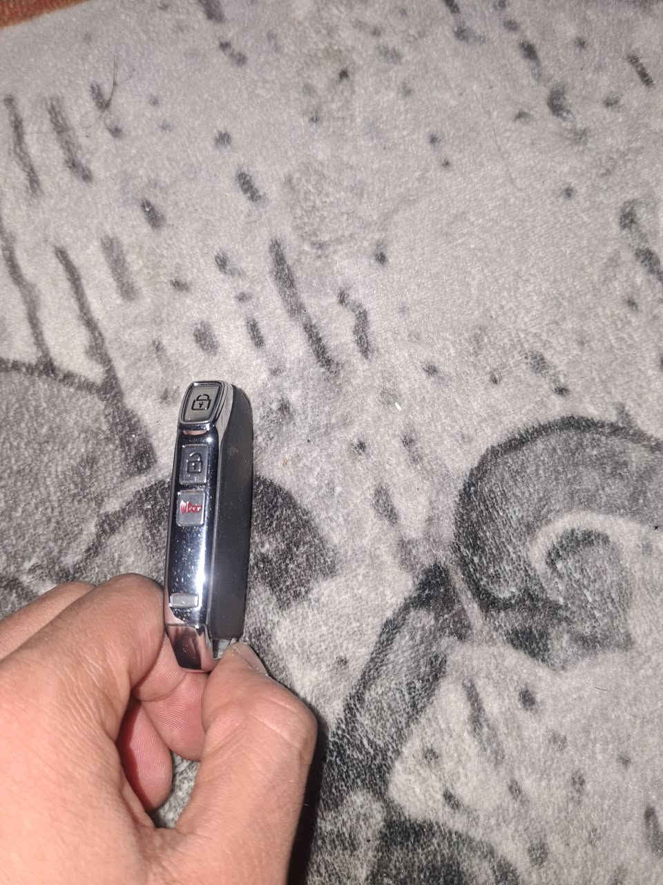 سلام عليكم  
بصمه سورنتو وراد أمريكي 2023 
مكاني بغداد الرصافه 
***********
