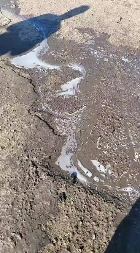 العنوان: مشروع "عُمر" للبيع.. محطة كاملة بموقع ذهبي (استلم المفتاح وابدأ الربح) 💰🚗
ليش هاي المحطة لُقطة؟
لأنك ما راح تشتري بس حديد وأجهزة، راح تشتري موقع شغال وسمعة طيبة بقلب كربلاء!
📍 الموقع الدقيق: كربلاء المقدسة - السايدين الفاصل بين (حي التحدي وحي الجاهز).
المحطة مجهزة بالكامل (فول مواصفات):
✅ 2 رمبات صعود: شغل سيارتين سوا بدون تأخير.
✅ مولدة كيا أصلية: يعني شغلك ما يوكف لو طفت الكهرباء الوطنية.
✅ 2 مواطير غسل + رغوة: ضغط عالي ونظافة درجة أولى.
✅ قسم دهن متكامل: دهونات سيارات ودراجات وفلاتر (رزقين بمكان واحد).
✅ عدة كاملة: المحطة بيها كل أغراض الشغل الإضافية (ما تصرف عليها دينار واحد).
الوضع المادي:
🔹 المحطة شغالة حالياً ولديها زبائنها الدائمين.
🔹 الموقع على السايدين يضمن لك شغل مستمر للسيارات والدراجات والستوتات.
💰 السعر: 18 وبيه مجال  *********** (())) ***********
