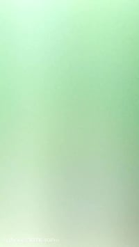 بايسكل • مستعجل • كدامك