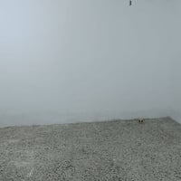 بيتين مجاورين • حي العدالة • 150م