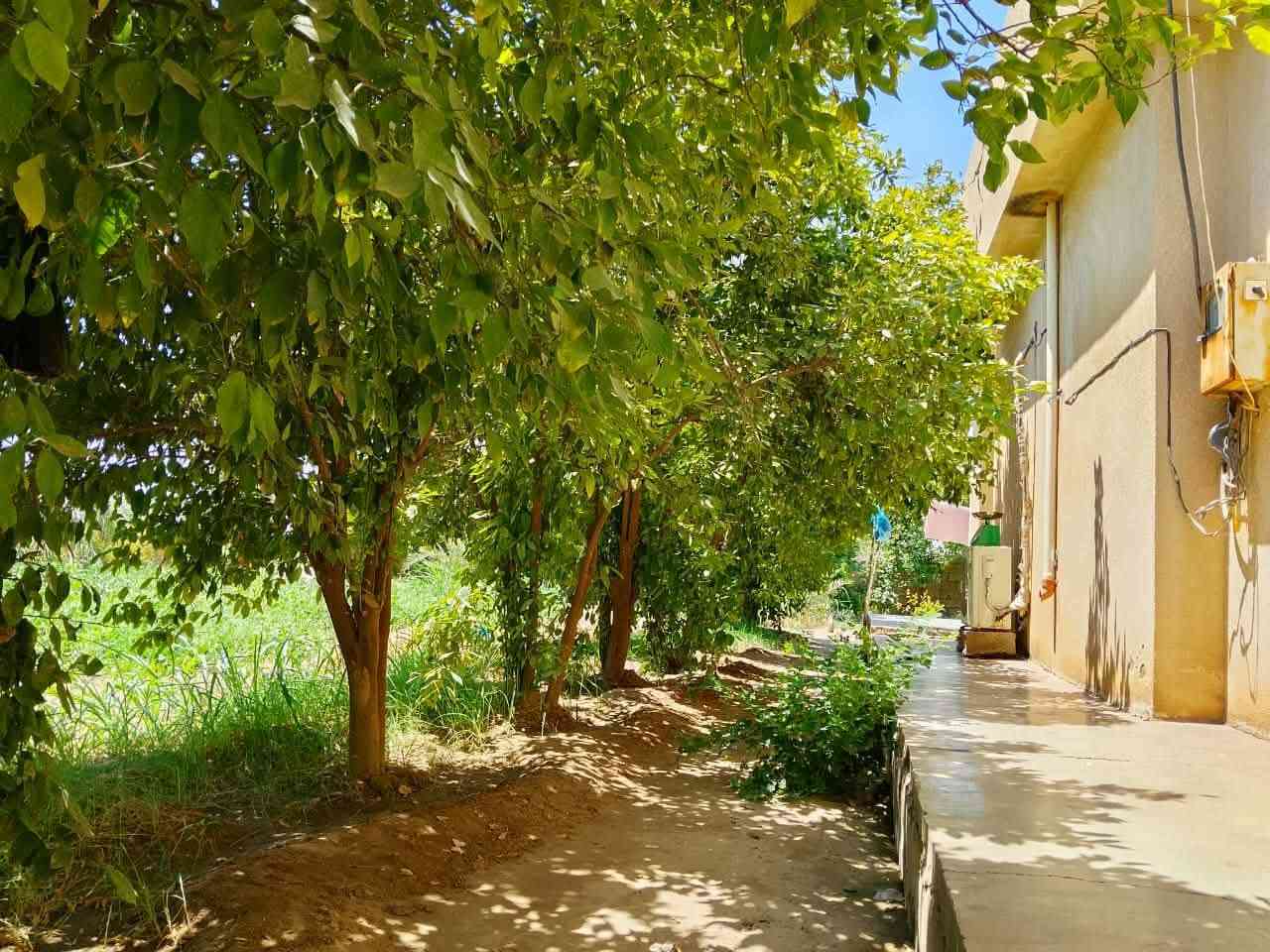 بستان 5 دوانم طابو مع بيت  للبيع - ديالى / قريب منصورية الجبل

التفاصيل الكاملة:
- المساحة الكلية: 5 دوانم طابو زراعي سند 25
- مساحة بناء الدار: 250 متر بناء 
- مساحة قطعة مع البيت: 1000 متر يعني يطلع (1 دونم إلا ربع) مسيجة بالكامل وحد مع باب رئيسي
- تفصيل البيت: غرفتين نوم + استقبال + صالة كبيرة + مطبخ + صحيات

- البستان: 5 دوانم مزروعة كلشي مزروع  ونظيفة مع البيت
- الخدمات: ماء إسالة + مي قطاس + كهرباء خير من الله
- الموقع: ديالى - قريب على منصورية الجبل - مكان هادئ وآمن وسهل الوصول
السعر الكلي 100 مليون 
البيت جاهز للسكن الفوري والبستان صالح للزراعة والسكن والاستثمار.

للاستفسار الجاد  هذا رقم صاحب البستان ***********
