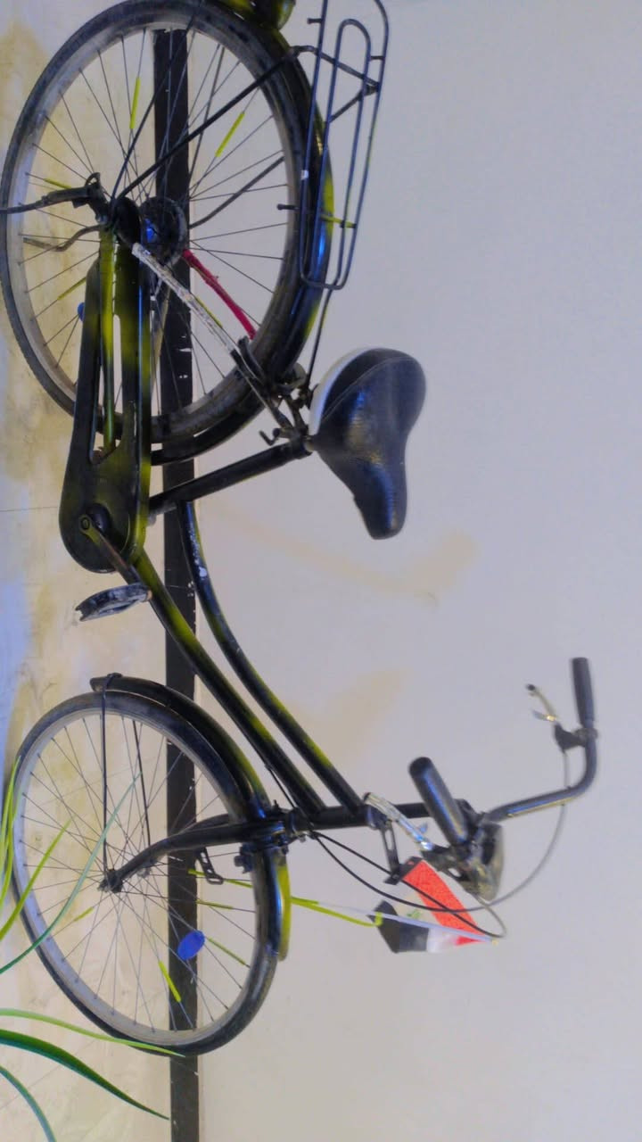 سلام عليكم بايسكل حجم ٢٦ شخطه مابي السعر50الف وبي مجال موقعي الصحه شارع الزيتون للإستفسار الرقم 7729019807


**إذا كنت صاحب هذا الإعلان وتريد حذفه لأي سبب، رجاءا أرسل رسالة إلى الدعم الفني**