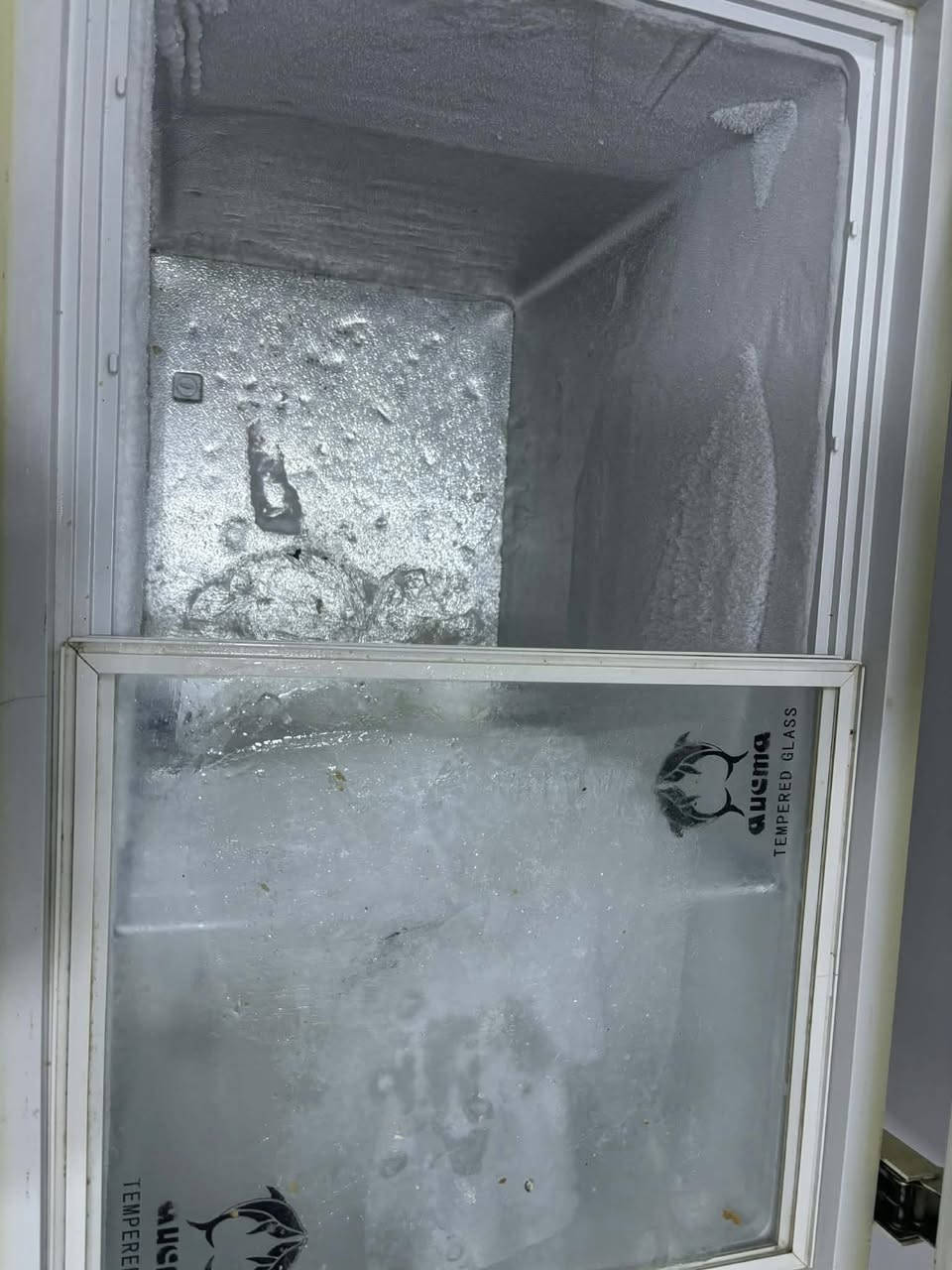 مجمدة للبيع نظافتها ١٠٠٪؜ ما داخلة تصليح ابداً وتجميدها ممتاز مابيها اي خلل السعر ع الخاص


**إذا كنت صاحب هذا الإعلان وتريد حذفه لأي سبب، رجاءا أرسل رسالة إلى الدعم الفني**