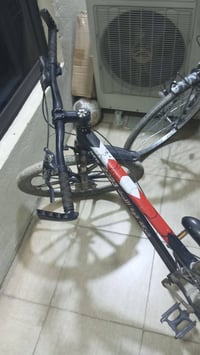 باسكل • جبلي • حي الجزائر