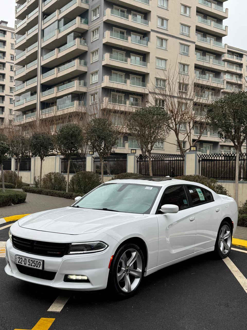 سلام عليكم دوج جارجر موديل 2018 Sxt plas سياره كلين تايتل مكفول كفاله عامه شركه هارلم كلين جديده احله من صور مواصفات سياره Sxt pala
رقم ☎️ ***********
شاشه كبيره 
شفتات استيرن
كشن حضن + كشنات كهرباي
سستم سماعات Alpein
كشن جلد احمر مميز
كشنات تتفيه
سكف سلايت روف فته بل سكف
رادار جانبي + نقطه عميا
حساس خلفي 
كامره خلفي 
ماشيه 68mil
ويل 20بلادي 
لايتاتled 
 بعد مواصفات 
Sxt plas معروفه سياره رقم هزه سنويه كله جديد بسمي شرط تحويل اربع تايرات جديد 🆕 صدر امامي خلفي كله جديد تبريد تتفيه شرط استفسار رقم هاتف ☎️ *********** مكان سليمانيه
