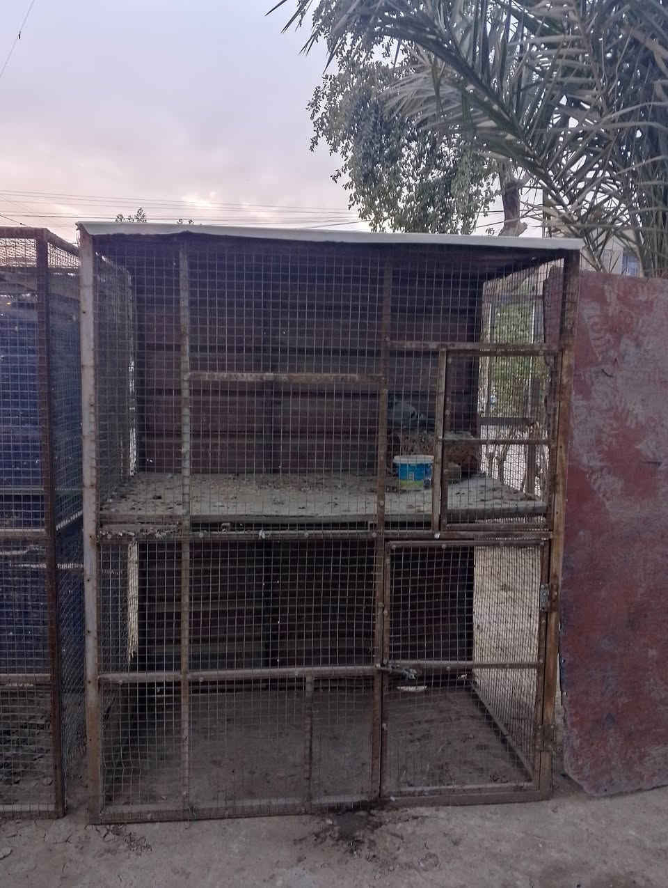 السلام عليكم حبايبي. قفوصه حديد للبيع مكان بغداد السيديه قرب تقاطع درويش السعر 100 وبي مجال راقم ***********بي واستاب
