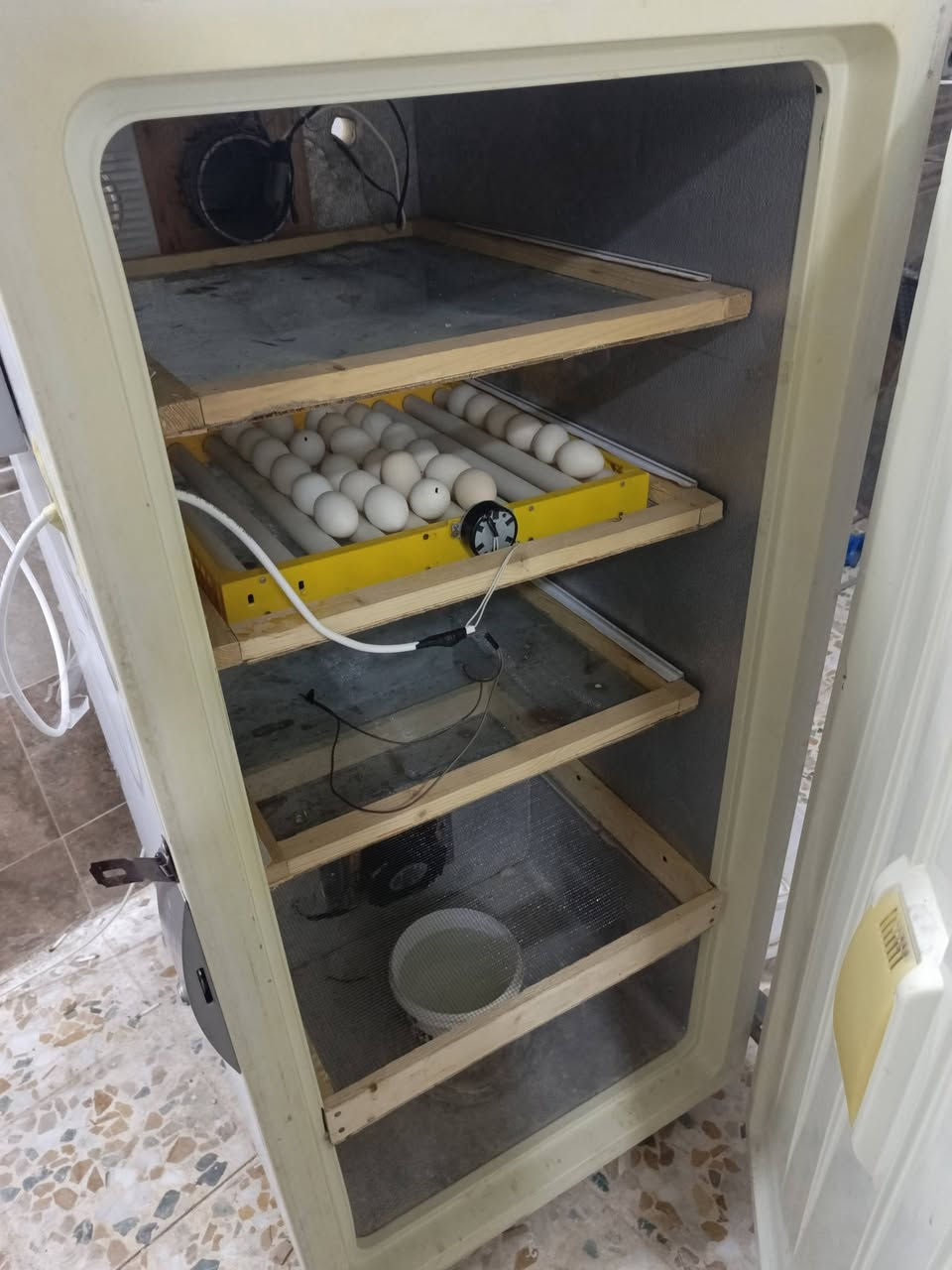 متوفر فقاسات من المنيوم ومن مجمدات فول اوتماتيك وتقليب يدوي من سعة ١٥٠  لحد ٥٠٠  بيض الدجاج وحضانات الكتاكيت بأحجام حسب طلب من ١٠٠ لحد ٢٥٠ كتكوت
للتواصل والطلب لتجهيز 
***********
