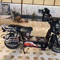 دراجة شحن • موديل ٢٠٢٤ • ٦ بطاريات