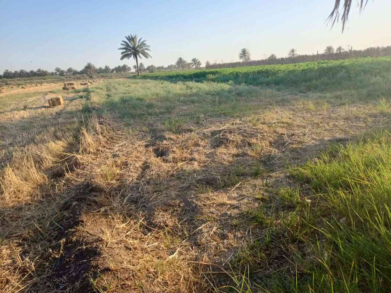 أرض زراعي للبيع خلف جامعة بابل 
3دونم شتحب انطيك دونم اثنين 
صنف الأرض طابو زراعي سند 25 
تحويل مباشر بسمك تبعد عن جامعة بابل 2كيلو 
للاستفسار ***********
