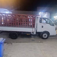 ذي قار • كفالة عامة • كيه فحل