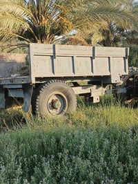 عربانه • حدادي • كربلاء