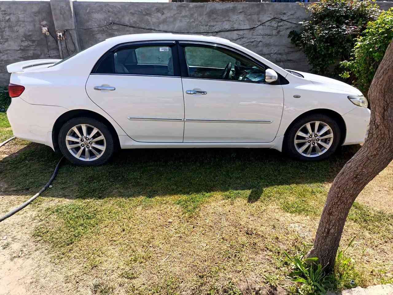 سلام عليكم كورله ٢٠٠٩خليجي تخم تاير ويل كب صدر نص عمر مكينه كير ممتاز كهربايات كلهه شقاله تبريد بس كمبريسر واكف واي ستفسار علرقم مكلف بل نشر *********** سعر ١١٠ بيهه مجال مكان شمال بغداد مدخل العبايجي مكينه ١٨٠٠
