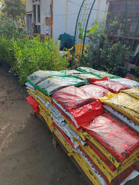 #ياعلي 
من داخل المشتل توفر بتموس عراقي نوعيه ممتازه ✔️
وايضا متوفر توصيل لجميع مناطق المسيب 🛵
للحجز والاستفسار مراسله الصفحه او الاتصال على الرقم التالي:
***********☎️
